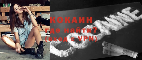 винт Абаза