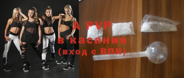 крисы Алексин