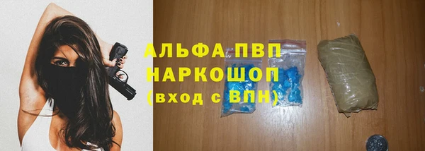 винт Абаза