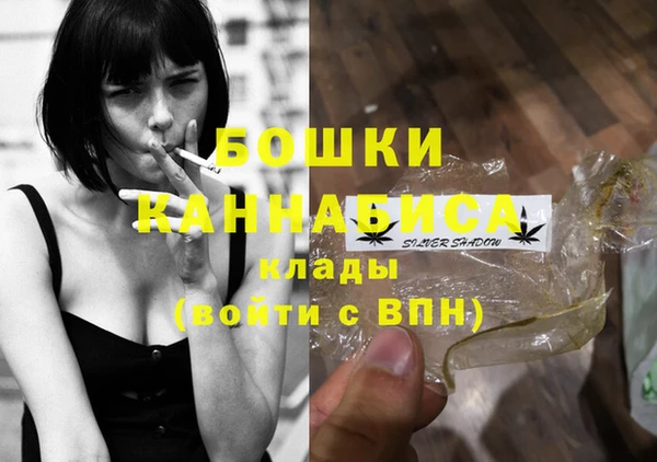 винт Абаза