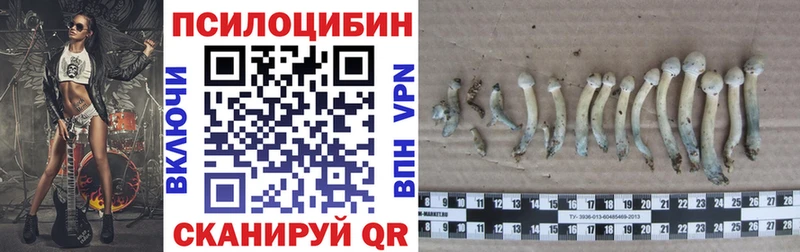 Псилоцибиновые грибы ЛСД  Магадан 